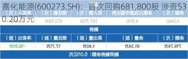 嘉化能源(600273.SH)：首次回购681,800股 涉资530.20万元