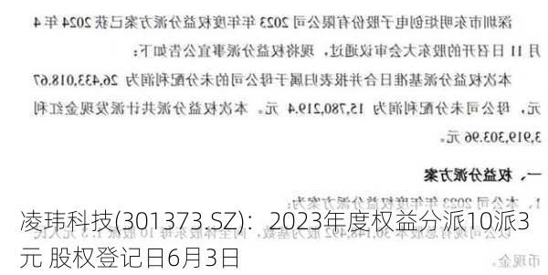 凌玮科技(301373.SZ)：2023年度权益分派10派3元 股权登记日6月3日