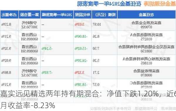 嘉实远见精选两年持有期混合：净值下跌1.20%，近6个月收益率-8.23%