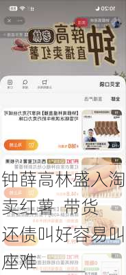 钟薛高林盛入淘卖红薯  带货还债叫好容易叫座难