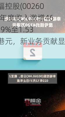 幸福控股(00260)：年度收入激增4699.9%至1.53亿港元，新业务贡献显著