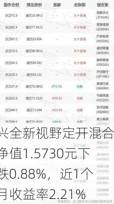 兴全新视野定开混合：净值1.5730元下跌0.88%，近1个月收益率2.21%