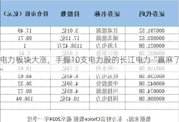 电力板块大涨，手握10支电力股的长江电力“赢麻了”