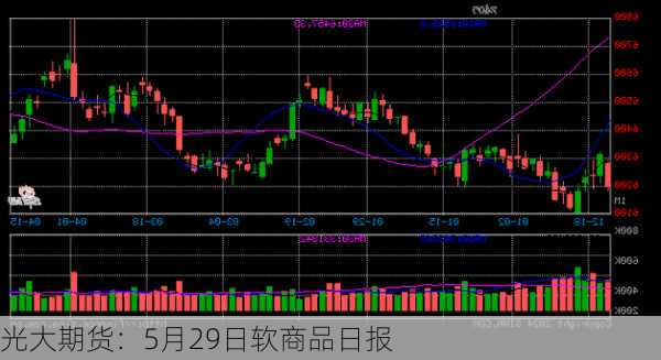 光大期货：5月29日软商品日报