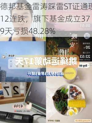 德邦基金雷涛踩雷ST证通现12连跌，旗下基金成立379天亏损48.28%