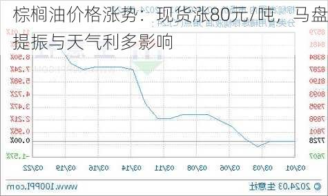 棕榈油价格涨势：现货涨80元/吨，马盘提振与天气利多影响