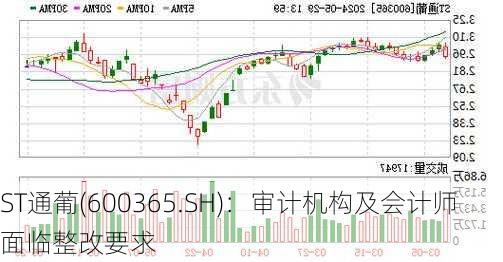 ST通葡(600365.SH)：审计机构及会计师面临整改要求