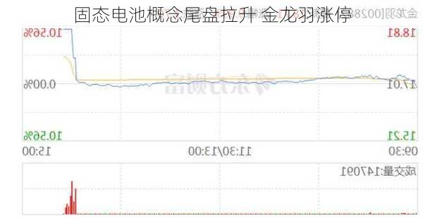 固态电池概念尾盘拉升 金龙羽涨停