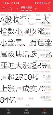 A股收评：三大指数小幅收涨，小金属、有色金属板块活跃，比亚迪大涨超8%，超2700股上涨，成交7084亿