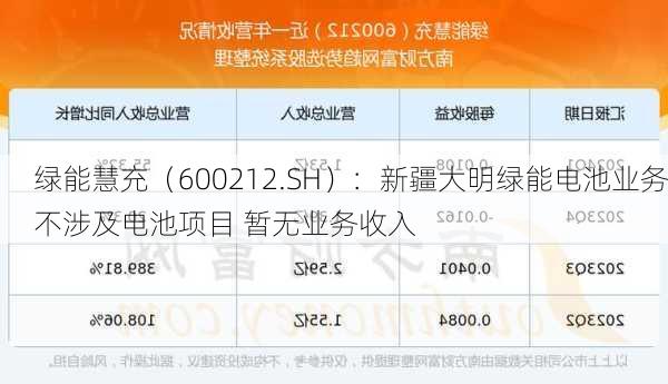 绿能慧充（600212.SH）：新疆大明绿能电池业务不涉及电池项目 暂无业务收入