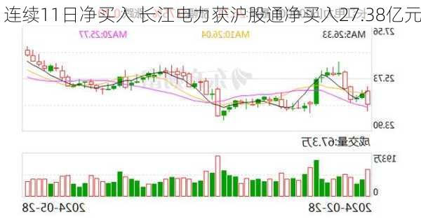 连续11日净买入 长江电力获沪股通净买入27.38亿元