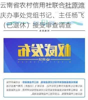 云南省农村信用社联合社原迪庆办事处党组书记、主任杨飞（已退休）接受审查调查