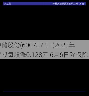 中储股份(600787.SH)2023年度拟每股派0.128元 6月6日除权除息