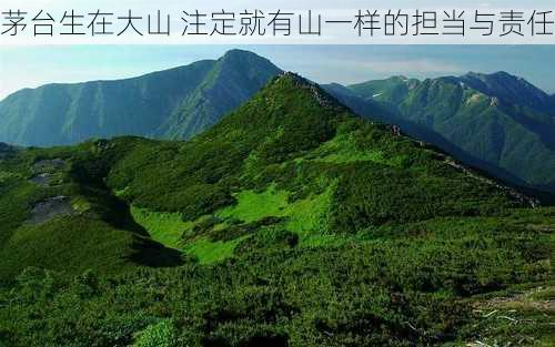 茅台生在大山 注定就有山一样的担当与责任