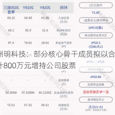 洲明科技：部分核心骨干成员拟以合计800万元增持公司股票