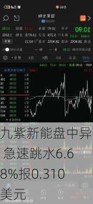 九紫新能盘中异动 急速跳水6.68%报0.310美元