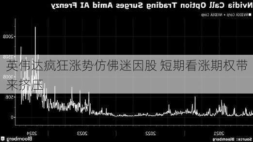 英伟达疯狂涨势仿佛迷因股 短期看涨期权带来挤压