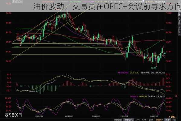 油价波动，交易员在OPEC+会议前寻求方向