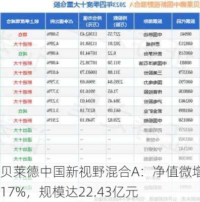 贝莱德中国新视野混合A：净值微增0.17%，规模达22.43亿元