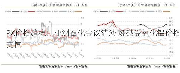 PX价格趋稳：亚洲石化会议清淡 烧碱受氧化铝价格支撑