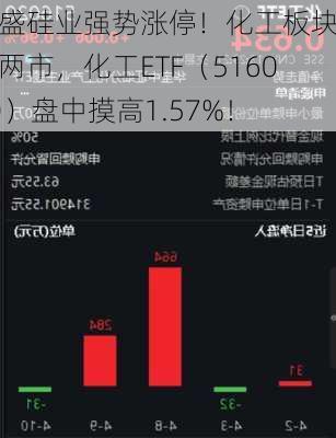 合盛硅业强势涨停！化工板块领涨两市，化工ETF（516020）盘中摸高1.57%！
