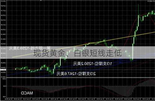 现货黄金、白银短线走低