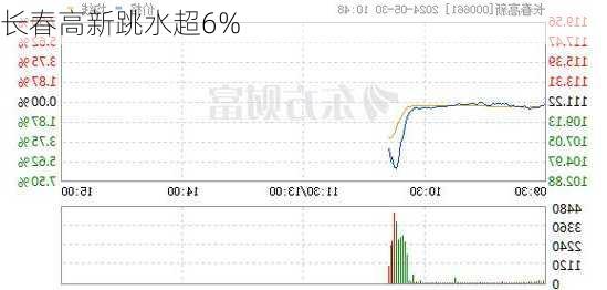 长春高新跳水超6%