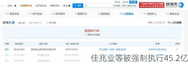 佳兆业等被强制执行45.2亿