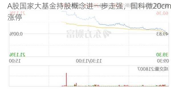 A股国家大基金持股概念进一步走强，国科微20cm涨停