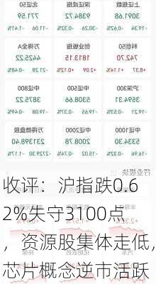 收评：沪指跌0.62%失守3100点，资源股集体走低，芯片概念逆市活跃