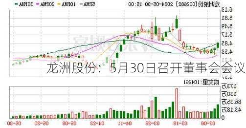 龙洲股份：5月30日召开董事会会议