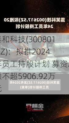 泰和科技(300801.SZ)：拟推2024年员工持股计划 募资总额不超5906.92万元