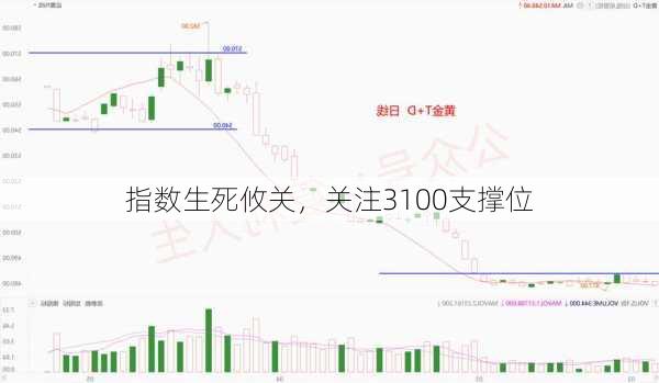 指数生死攸关，关注3100支撑位