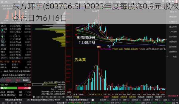 东方环宇(603706.SH)2023年度每股派0.9元 股权登记日为6月6日