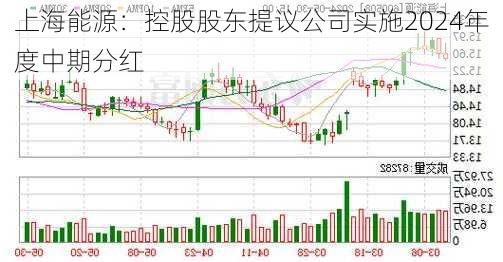 上海能源：控股股东提议公司实施2024年度中期分红