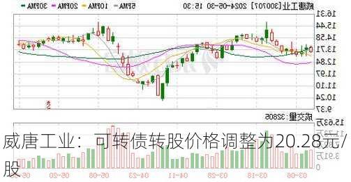 威唐工业：可转债转股价格调整为20.28元/股