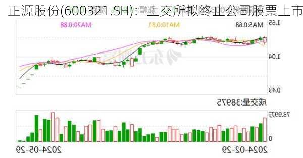 正源股份(600321.SH)：上交所拟终止公司股票上市