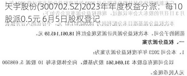 天宇股份(300702.SZ)2023年年度权益分派：每10股派0.5元 6月5日股权登记