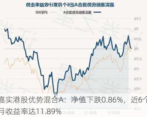 嘉实港股优势混合A：净值下跌0.86%，近6个月收益率达11.89%