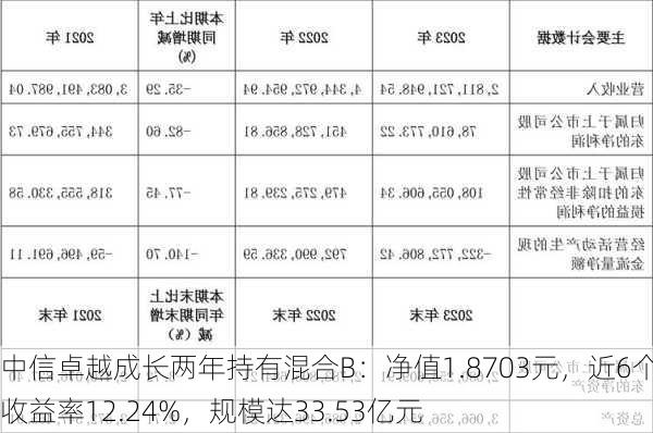 中信卓越成长两年持有混合B：净值1.8703元，近6个月收益率12.24%，规模达33.53亿元