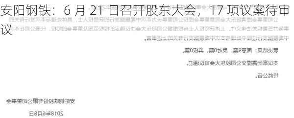 安阳钢铁：6 月 21 日召开股东大会，17 项议案待审议