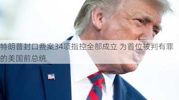 特朗普封口费案34项指控全部成立 为首位被判有罪的美国前总统