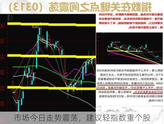 市场今日走势震荡，建议轻指数重个股