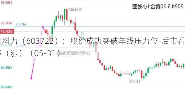 阿科力（603722）：股价成功突破年线压力位-后市看多（涨）（05-31）