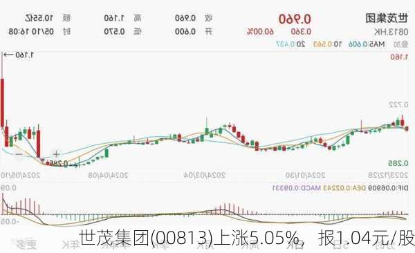 世茂集团(00813)上涨5.05%，报1.04元/股