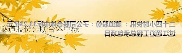 隧道股份：联合体中标