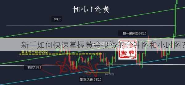 新手如何快速掌握黄金投资的分钟图和小时图？