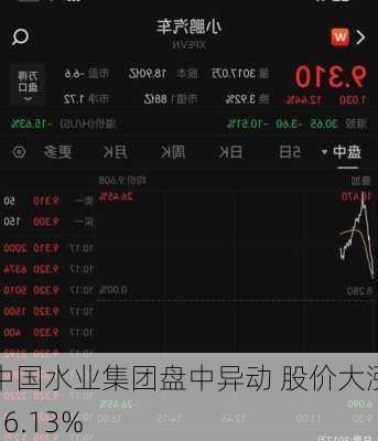 中国水业集团盘中异动 股价大涨16.13%