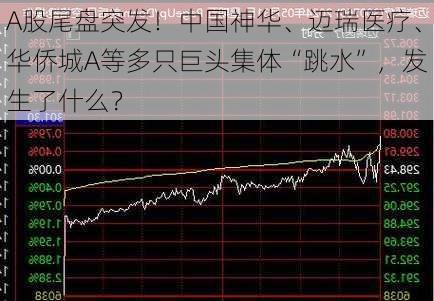 A股尾盘突发！中国神华、迈瑞医疗、华侨城A等多只巨头集体“跳水”，发生了什么？