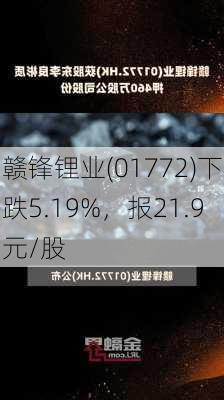 赣锋锂业(01772)下跌5.19%，报21.9元/股